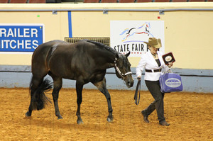 Performance Halter Mare- Reserve World Champion Gretchen Mathes and Fantastic Invitation