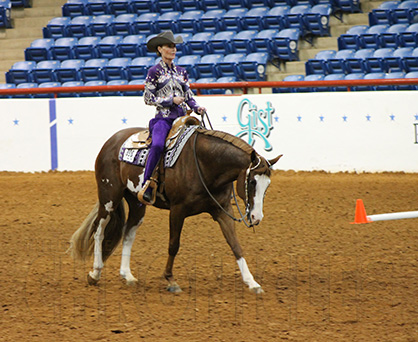 2014 APHA Western Riding World Champions Are Hull, Prince, and Foster
