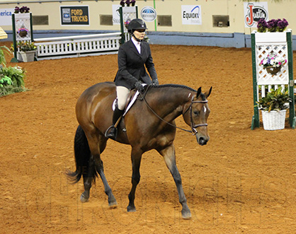 2014 AQHA World Show Amateur Week All-Around Results