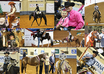 Looking Back on 2014 AQHA/APHA World Shows