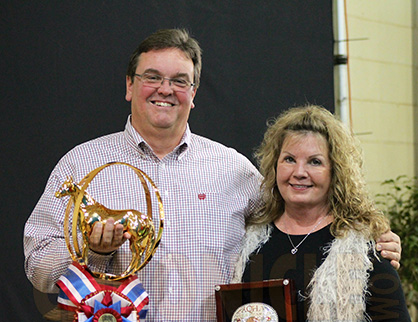 Ross Roark Wins First Two Titles of Open Halter at AQHA World Show With Flawles and It’s Gameday