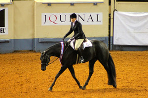 Nancy Sue Ryan and Boys Move Over take a victory lap following their win in Junior Hunter Under Saddle.