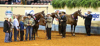 Mr. Elusive Wins Get-Of-Sire Class at 2014 AQHA World Show