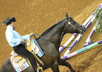 Congratulations Jr. Western Riding, Jr. Western Pleasure, and Senior Trail AQHA World Finalists!