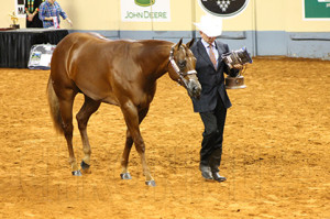 Third place Yearling Colt- Ted Turner with Hey Coach