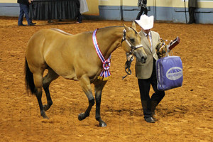 World Champion 3-Year-Old Mare Ted Turner with Lookin For Romance