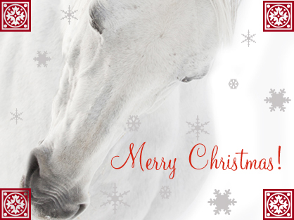 Merry Christmas From The Equine Chronicle!