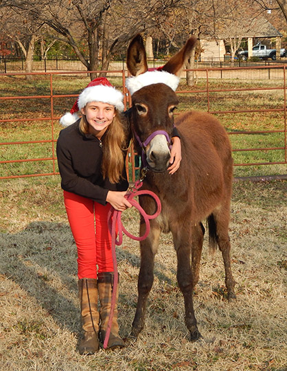 EC Holiday “Horse” Photo of the Day: Meet Ryan and Kit Kat