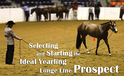 Selecting and Starting the Ideal Yearling Longe Line Prospect