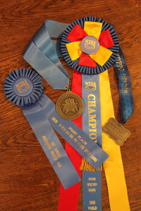 What to do with all those horse show ribbons?