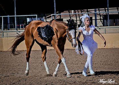 Six Days, Eight Judges, and Tons of Fun Special Activities Planned For 2014 APHC Copper County Paint-O-Ramas!