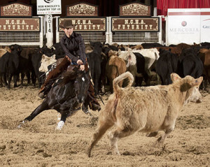 Non Pro Champion- Nadine Payne with Great Expectations. Photo provided by NCHA.