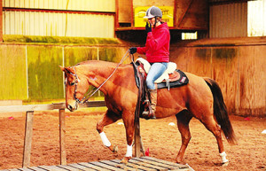 Annabelle Russell and Matts Golden Star. Photo provided by AQHA UK.