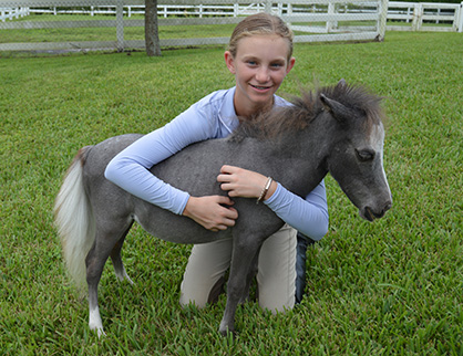 On This #GivingTuesday, Consider Giving Back to Your Favorite Horse-Related Charity