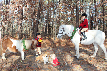 EC Holiday Horse Photo Contest Has Begun!