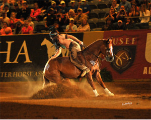 Photo Credit:  Waltenberry, Inc. Caption:  2014 World Champion Freestyle Reiner Dan James showing Smart Little Elan (AQHA) 