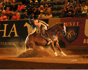 Photo Credit:  Waltenberry, Inc. Caption:  2014 World Champion Freestyle Reiner Dan James showing Smart Little Elan (AQHA) 