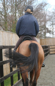 Photo courtesy of Saddle Research Trust.