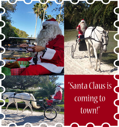 EC Holiday Horse Photo of the Day: Santa Claus is Coming to Town!
