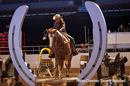 Paint Horse Wins “EXTREME Trail” Reserve World Championship