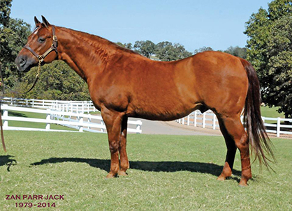 Lazy E Ranch Says Farwell to AQHA Sire Zan Parr Jack