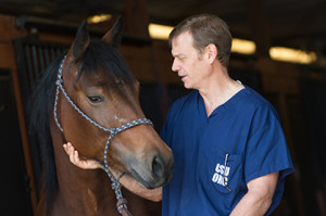 Dr. David Frisbie, Professor of Clinical Sciences, at the Equine Orthopaedic Center at Colorado State University's Veterinary Hospital. Photo courtesy of Colorado State University.