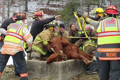 Incredible Horse Extrication From Cement Feed Trough in NH
