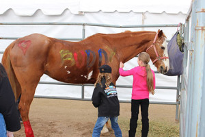 Photo courtesy of Arizona Paint Horse Club.