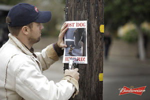 Image from ‘Lost Dog,’ one of Budweiser’s Super Bowl XLIX ads (Created by Anomaly)