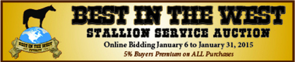 Closing Soon! Stallion Service Auction for the Best In The West Halter Futurity