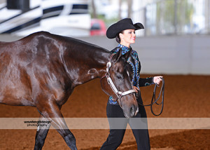 GC15-5127-SHOWMANSHIP SAMPLE