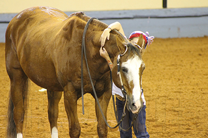 Hug Your Horse Today on National Hug Day!