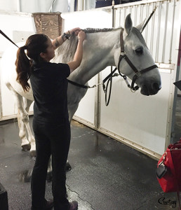 Caring for the horses backstage.