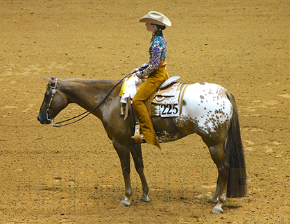 New ApHC Classes in 2015 Include Ranch Pleasure, Performance Halter, Green Trail and More