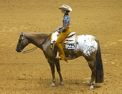 Congratulations 2015 Appaloosa World Show Champions!