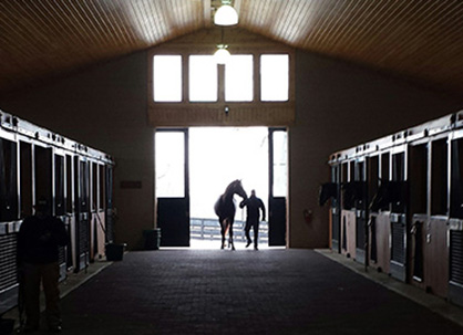 Rubbing Elbows With Equine Millionaires in the Heart of Horse Country