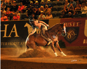 Caption: 2014 World Champion Freestyle Reiner Dan James riding Smart Little Elan (AQHA) - Requisite Photo Credit: Waltenberry, Inc.