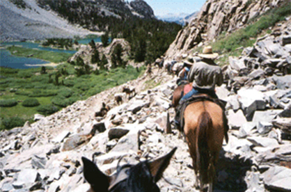 Go Beyond the Classroom with UC Davis Summer Horsepacking Adventures!