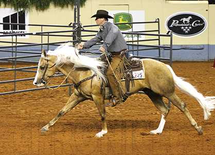 10 Reasons to Own an AQHA Ranching Heritage Bred Horse