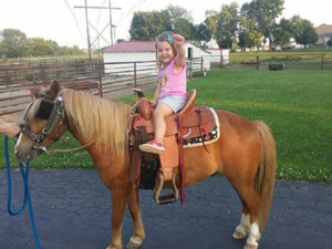 "Jimmy" an eight-year-old pony has been donated by Nathan Miller of MO. Jimmy is broke to drive and very quiet. Addison is not included in this package.