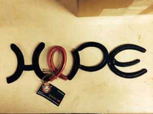  Horseshoe Hope sign donated by Domingos Welding of Ontario, Canada. 