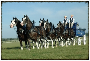 Meet the “Big Boys” at Upcoming Midwest Horse Fair- 12,000 lb. of Horsepower!