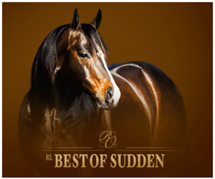 RL Best Of Sudden Nominated to APHA Breeders’ Trust For 2015 Breeding Season