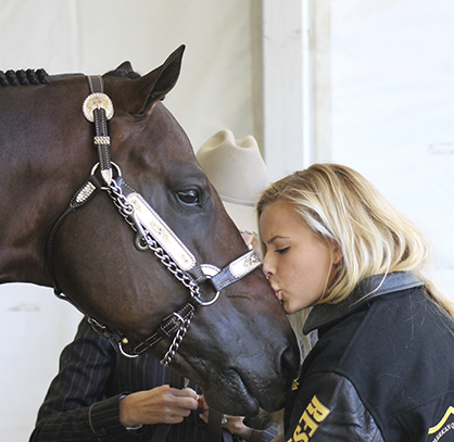 $50,000 Available For Researchers Investigating Therapeutic Effects of Horses on Humans