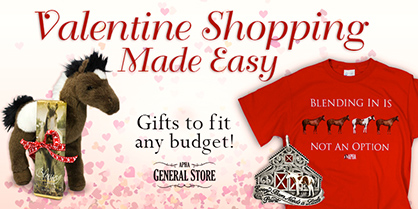 Valentine Gifts For the Horse Lover in Your Life