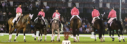 Equestrians Compete to Raise Money For Breast Cancer Research
