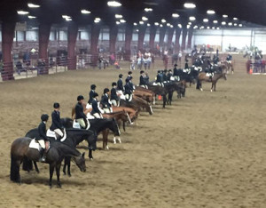 Youth Equitation with 29 entries. Photo courtesy of Mark Harrell Horse Shows.