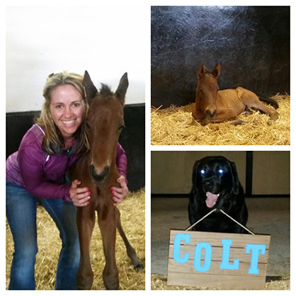 EC Foal Photos of the Day: These Irons Are Hot and Allocate Your Assets