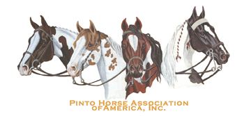 Youth Judging Contest Returns to 2015 PtHA World Show