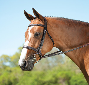 Wellfleet Monocrown Bridle. Photo courtesy of SmartPak.